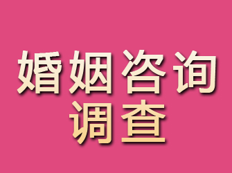 礼县婚姻咨询调查