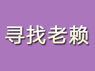 礼县寻找老赖