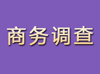 礼县商务调查